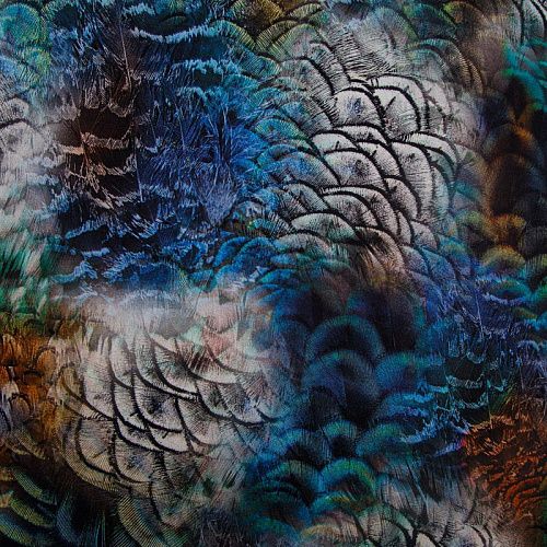 Трикотаж 056-14809 черный мультиколор